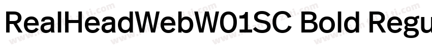 RealHeadWebW01SC Bold Regular字体转换